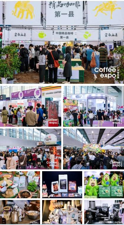博览会圆满收官打造粤港澳大湾区咖啡生态新场景PG电子麻将胡了22024秋季广州国际咖啡(图4)